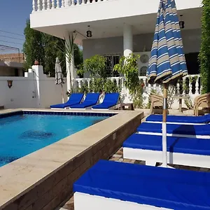 Apartment Vip